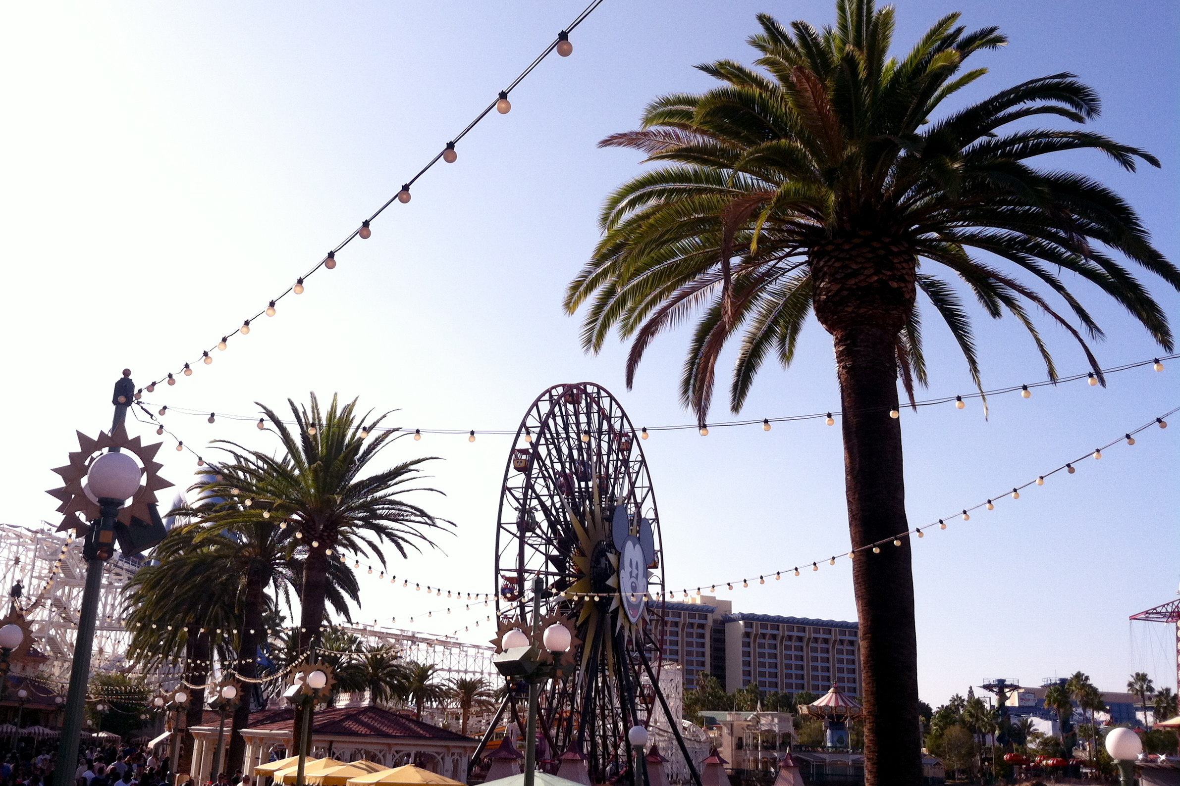 Disneyland California Adventure Summer Palm Tree Perfect Itsalisa